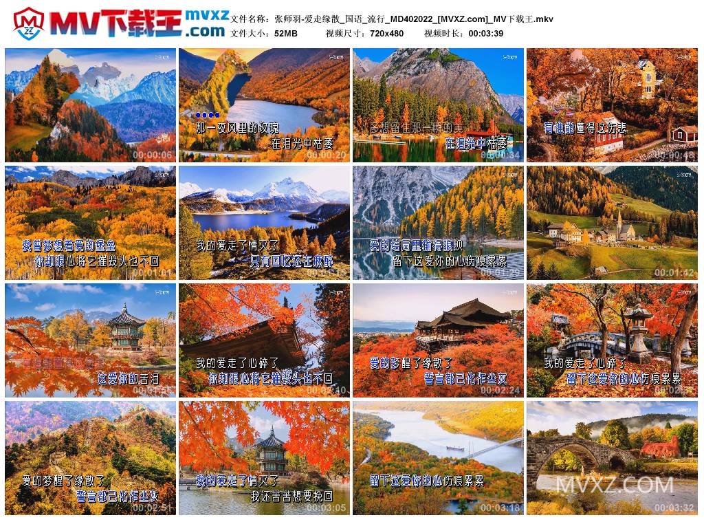 张师羽-爱走缘散_国语_流行_MD402022
